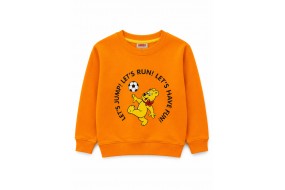 ERKEK ÇOCUK SWEAT 