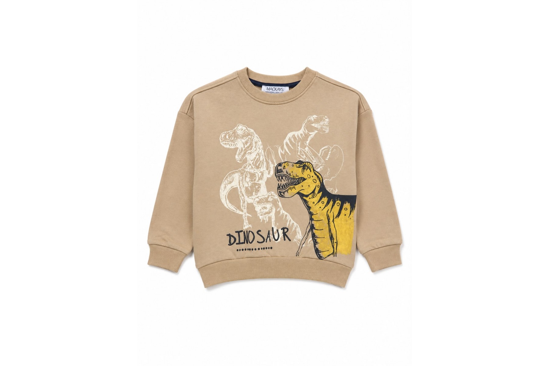 DİNAZOR BASKILI SWEAT 